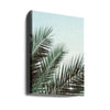 Palm leaves, sky_1