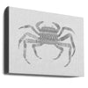 Crab Grey Poster Grey