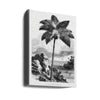 Vintage Palm Tree Drawing I