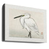 Snowy Egret