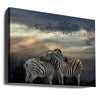 Zebras at sunset