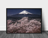 Fujiyama a Sakura