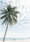 Palm tree at the beach 2