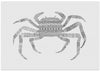 Crab Grey Poster Grey