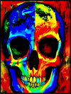 SkullX- Pop Art  poster