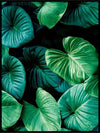 A Bed Of Leaves - Botanisk Plakat - Plakatbar.no