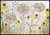 Alliums and heleniums poster - Plakatbar.no