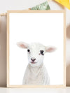 Baby Lamb - Plakatbar.no