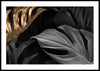 Botanisk black gold Poster - Plakatbar.no