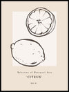 Citrus art poster - Plakatbar.no