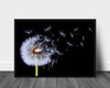 Dandelion blowing- poster - Plakatbar.no