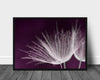 Dandelion seed poster - Plakatbar.no