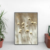 Dried flowers in winter - Poster - Plakatbar.no