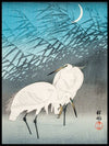 Egrets and Reeds in Moonlight, Ohara Koson- Plakat - Plakatbar.no