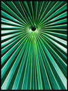 Flower spiral - Botanisk Plakat - Plakatbar.no