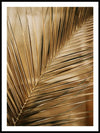 Golden Palm Poster - Plakatbar.no