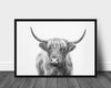 Highland Bull - Plakatbar.no