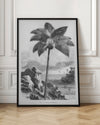 Vintage Palm Tree Drawing I