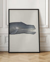 Whale I Tight Crop   Handcolored Sealife Lithograph 1824