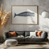 Whale I Antique Handcolored Sealife Lithograph 1824