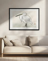 Snowy Egret