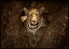 Leopard i treet poster - Plakatbar.no