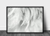 Luxury Bird Feathers Black and White Poster - Plakatbar.no