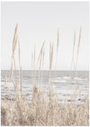 Beach_Vass_001