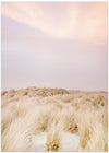 Ameland Dunes 2