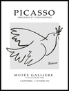 Pablo Picasso Dove - Plakat - Plakatbar.no