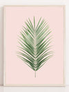 Palmeblad blush - Plakatbar.no