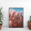 Pampas grass with blue sky - Poster - Plakatbar.no