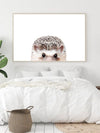 Peeking Hedgehog - Plakatbar.no