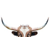 Peeking Longhorn Cow - Plakatbar.no