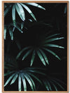 Tropical Green Leaves poster - Plakatbar.no