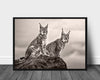 Two lynx on rock poster - Plakatbar.no