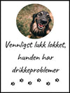 Vennligst lukk lokket - Hundeplakat med eget bilde - Plakatbar.no