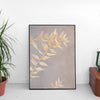 White dried flowers - Poster - Plakatbar.no